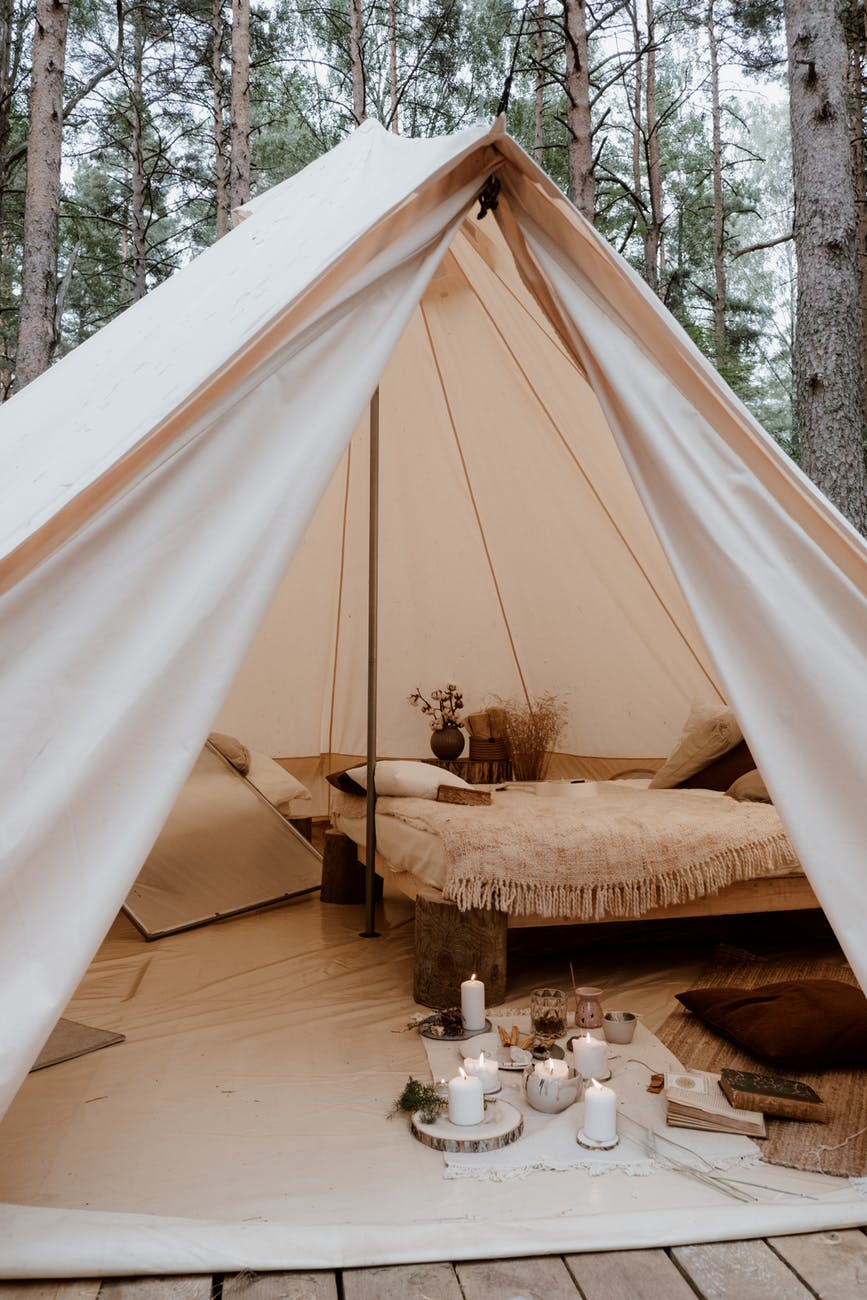 white tent with brown and white cat on top