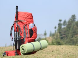 selective focus photo of red hiking backpack on green grass